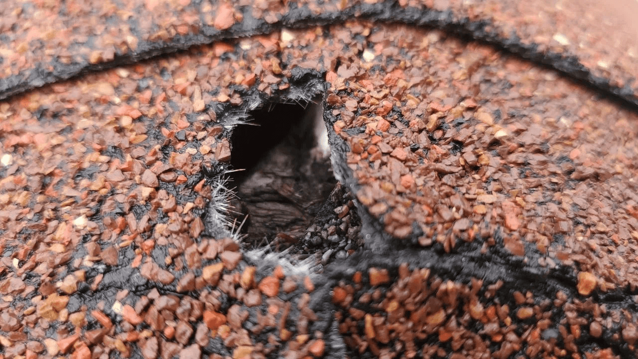 hole in shingles