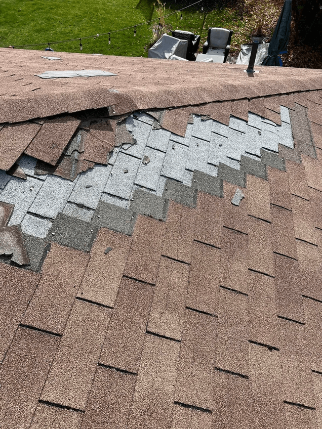 Strong gale-force winds can severely damage the roof