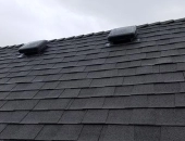 Dark Roof mini