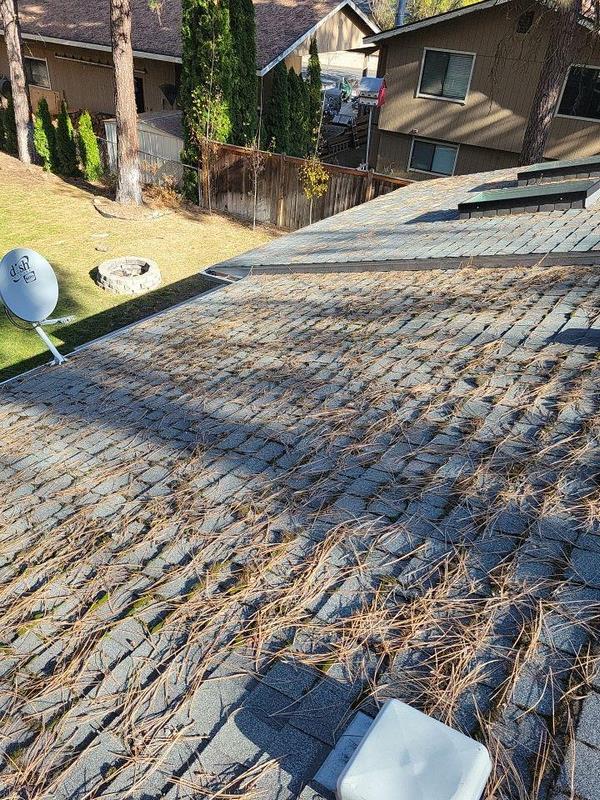 Roof needs regular maintenance