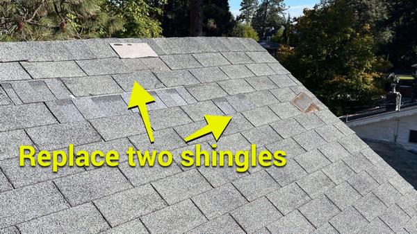 Roof moss removal
