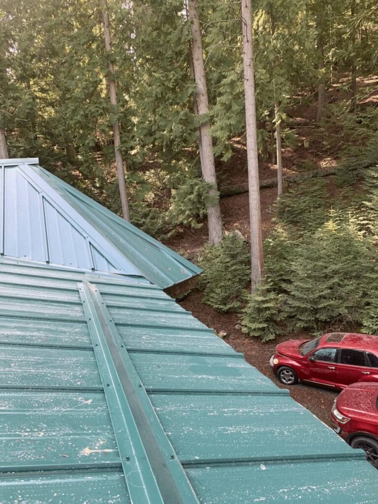 A house with a green roof in the forest, on the background of a red car