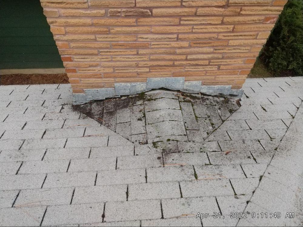 Roof covered with moss